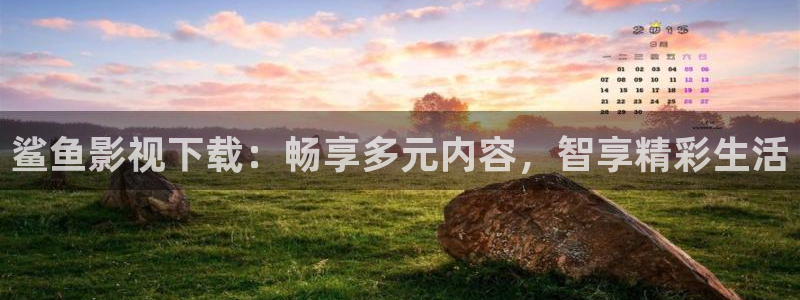 飘花电影播放器：鲨鱼影视下载：畅享多元内容，智享精彩生活