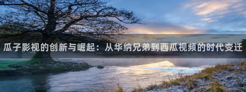 飘花电影手机免费观看完整版：瓜子影视的创新与崛起：从华纳兄弟到西瓜视频的时代变迁