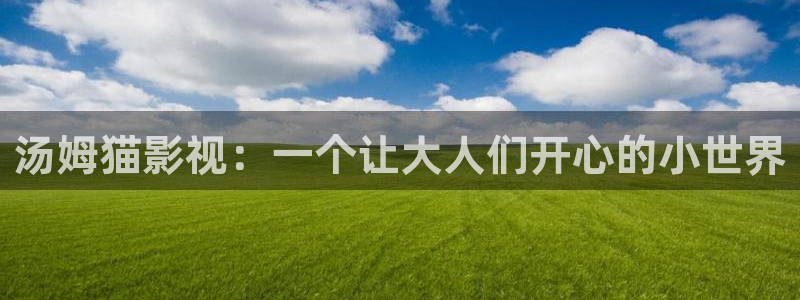 飘花影院免费：汤姆猫影视：一个让大人们开心的小世界