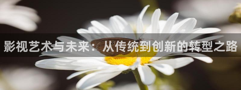 飘花手机电影网：影视艺术与未来：从传统到创新的转型之路