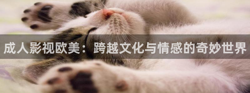 飘花影院琪琪：成人影视欧美：跨越文化与情感的奇妙世界