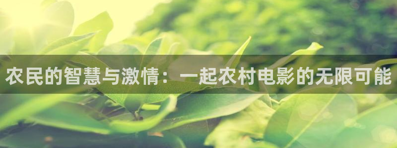 新飘花电影：农民的智慧与激情：一起农村电影的无限可能