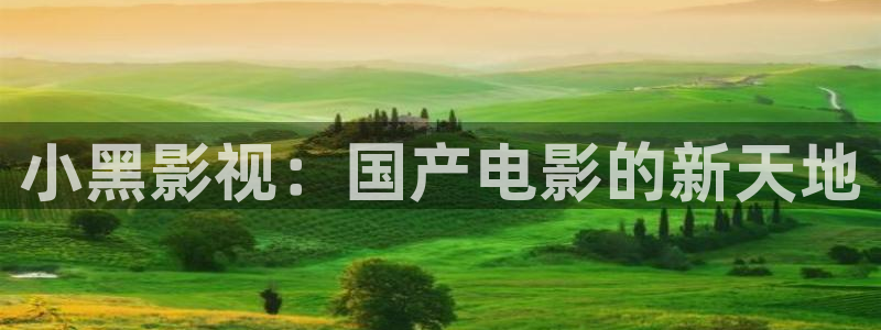 飘花影院手机：小黑影视：国产电影的新天地