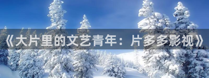 飘花影院理：《大片里的文艺青年：片多多影视》